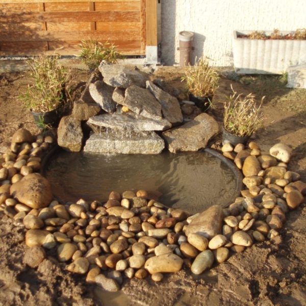Photo d'un bassin aquatique avec des berges en pierre